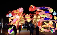 2025年定州蛇年灯会启幕